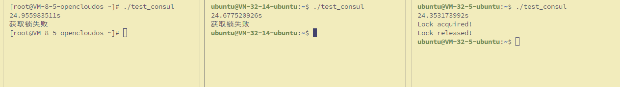 consul集群+分布式锁